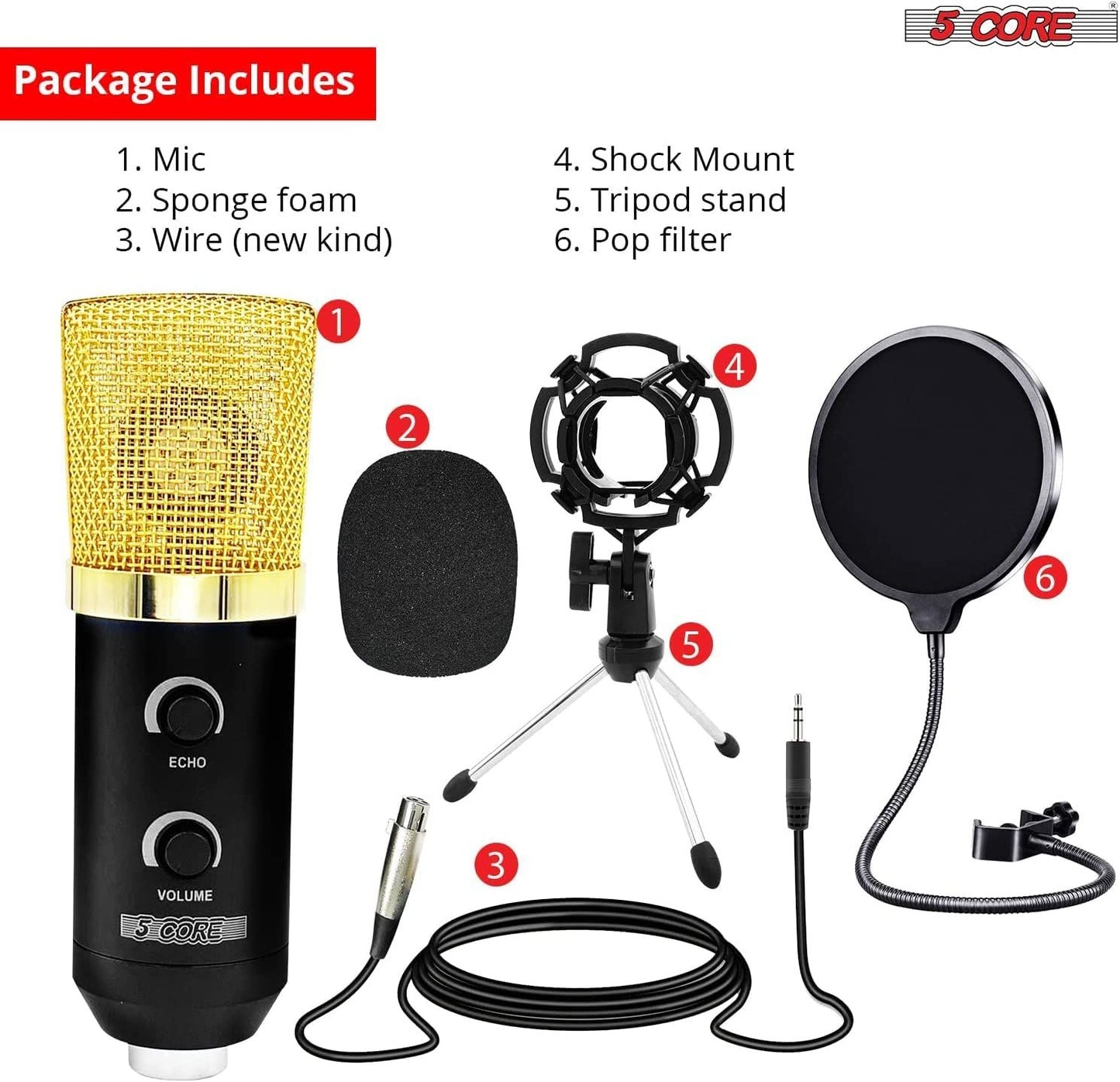 5 CORE XLR Microphone Condenser Mic w/Microphone ARM for Computer Gaming, Podcast, Tripod Stand Kit for Streaming, Recording, Vocals, Voice, Cardioids Studio Microphone RM 7 BG